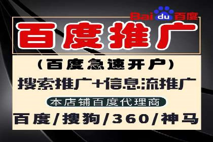 某电商平台的SEM运营实战与效果分析